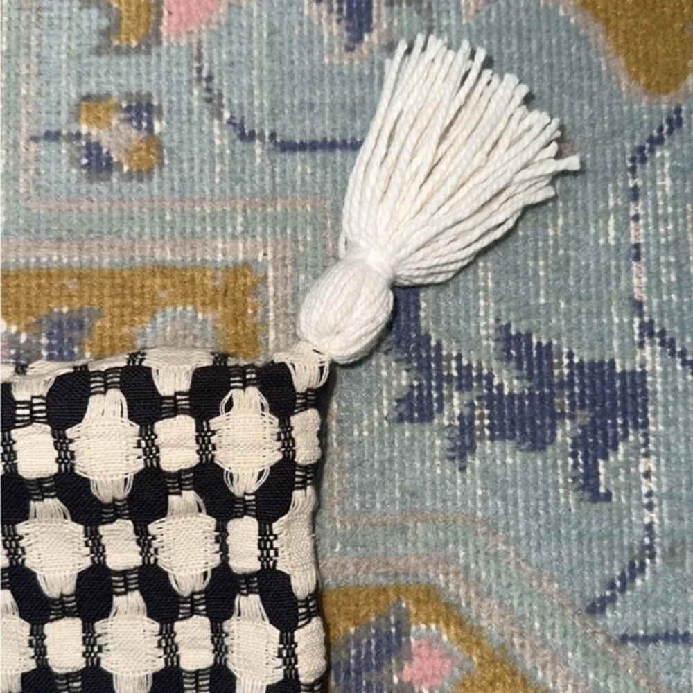 Crate & Barrel‎ Tahona Obsidian Textured Tassels Pillow Cover Sham 23